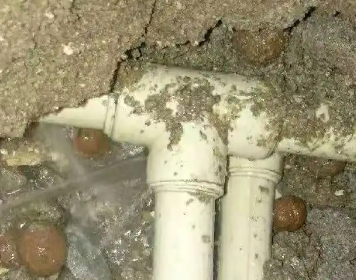 兴化测漏水多少钱