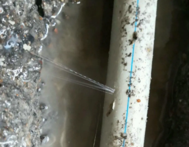 兴化测漏水哪家好