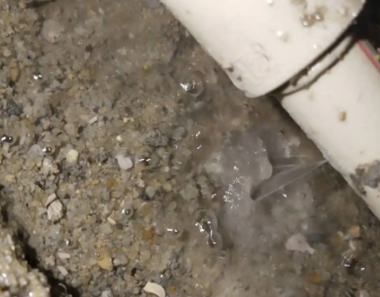 兴化测漏水电话号码