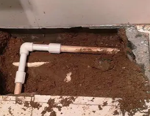 兴化测漏水哪家好