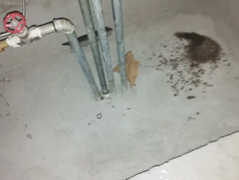 兴化卫生间测漏水价格明细