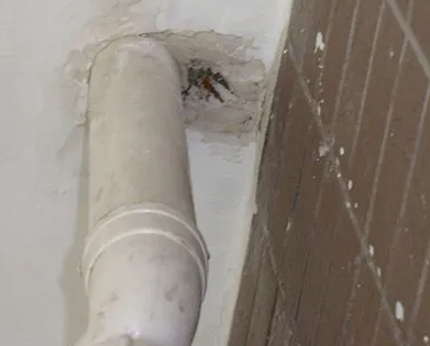 兴化漏水检测哪家好